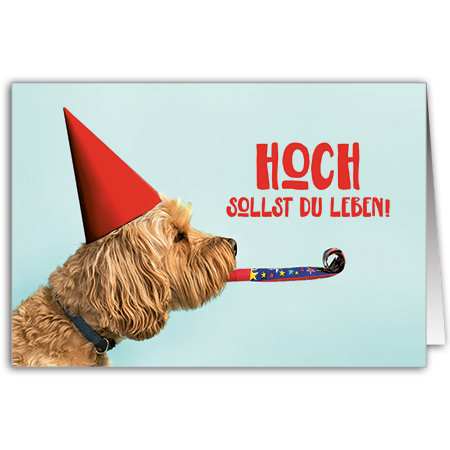 Hoch sollst du leben!  Hoch sollst Du leben!