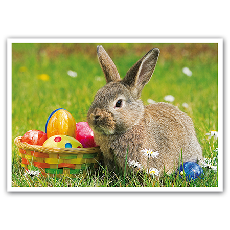  | Osterkaninchen