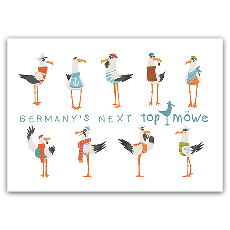 Germany's Next Top Möwe | Germany's Next Top Möwe (Strukturkarton mit Lack-Effekten)