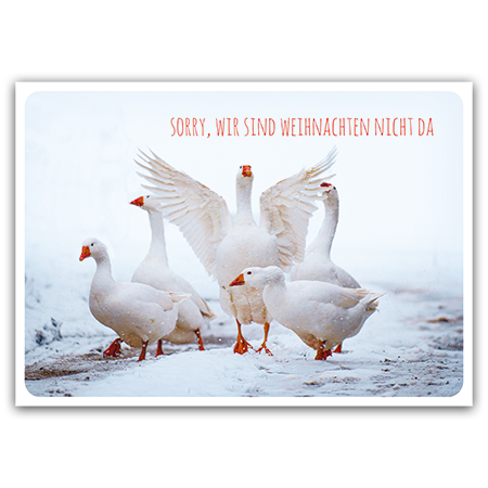 Sorry, wir sind Weihnachten nicht da | Sorry, wir sind Weihnachten nicht da ... (Strukturkarton)