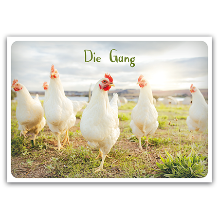 Die Gang | Die Gang (Strukturkarton)