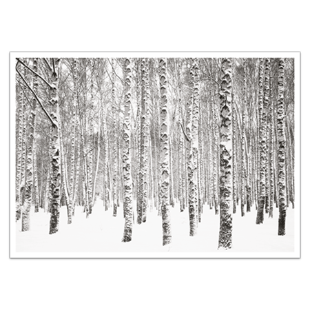  | Winterwald