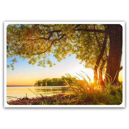  | Sommerabend am Ufer (Strukturkarton)