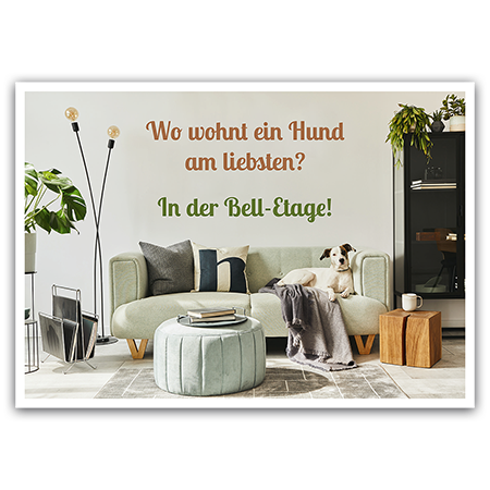 Wo wohnt ein Hund am liebsten? In der Bell-Etage!  Hunde in der Bell-Etage