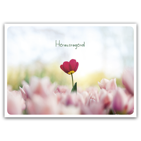 Herausragend  | Herausragend (Strukturkarton)