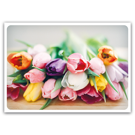  | Bunte Tulpen (Strukturkarton)