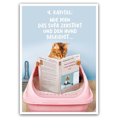 4. Kapitel Wie man das Sofa zerstört und den Hund beleidigt | Katzenschule