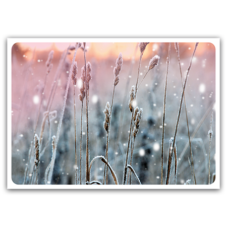  | Winterwiese (Strukturkarton) 
