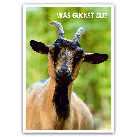  | Was guckst du?