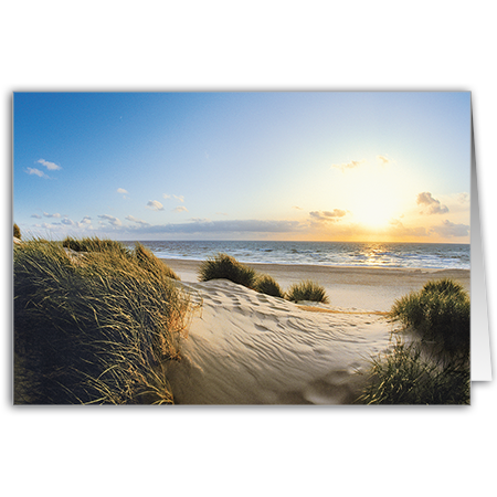  | Abend auf der Düne