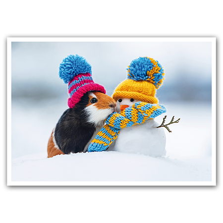  | Lass uns kuscheln!