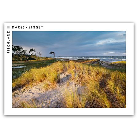 Fischland Darß Zingst | Dünen am Darßer Ort