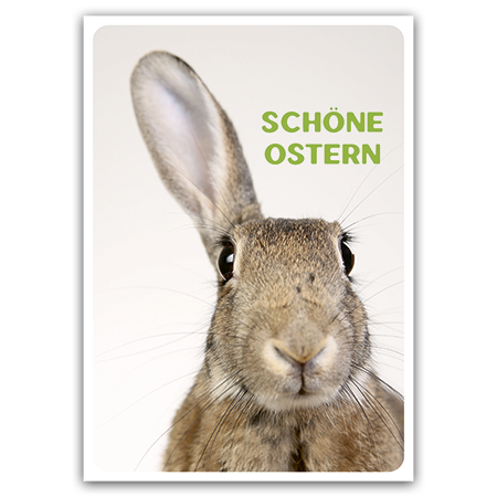 Schöne Ostern | Schöne Ostern (Strukturkarton)