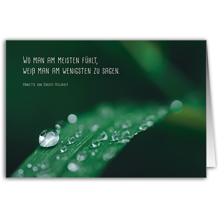 Wo man am meisten fühlt, weiß man am wenigsten zu sagen. | Wo man fühlt...