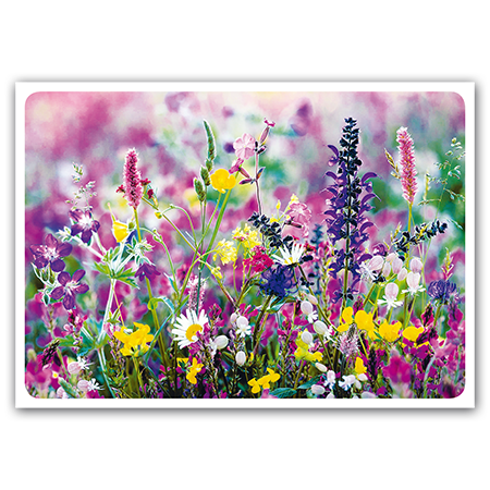 | Blumenwiese (Strukturkarton)