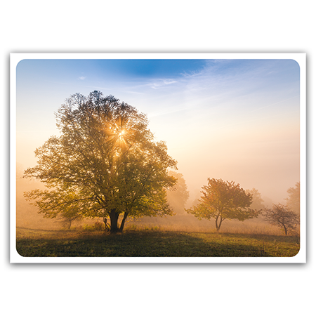  | Lichtspiel (Strukturkarton) 