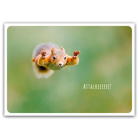  | Attackeeeeee! (Strukturkarton)