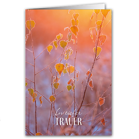 In tiefer Trauer | In tiefer Trauer (Perlmuttkarton)