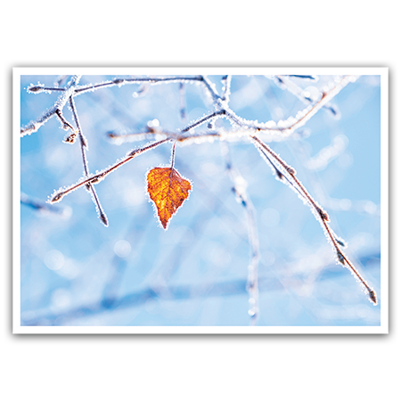  | Winterruhe