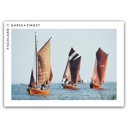 Fischland Darß Zingst  Zeesboot-Regatta