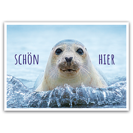 Schön hier | Schön hier