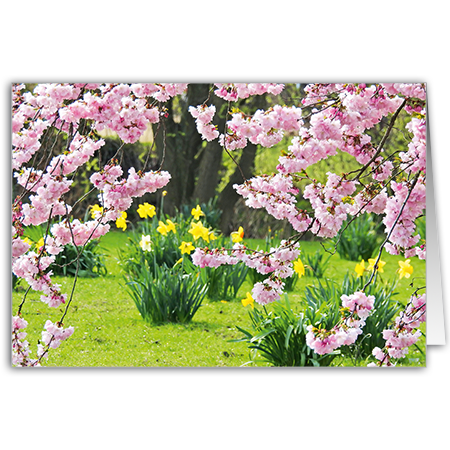 | Frühlingsfarben