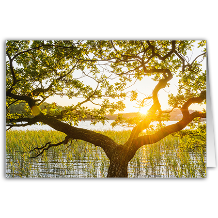  | Morgenstimmung