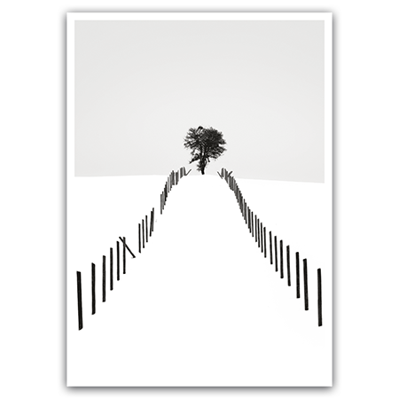  | Weiße Winterwelt