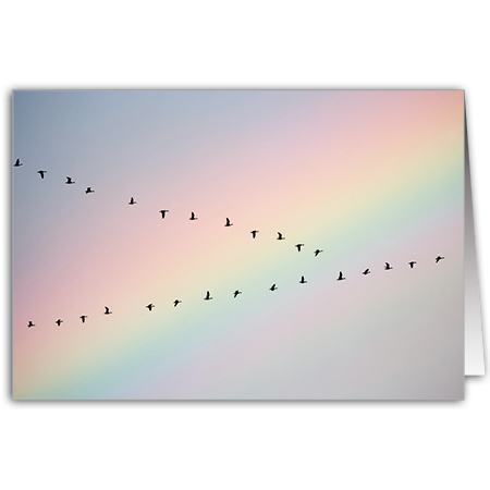  | Stare vor Regenbogen