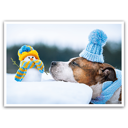  | Winterliche Freundschaft