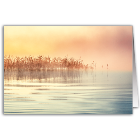  | Nebel am See