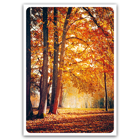  | Herbststimmung (Strukturkarton)