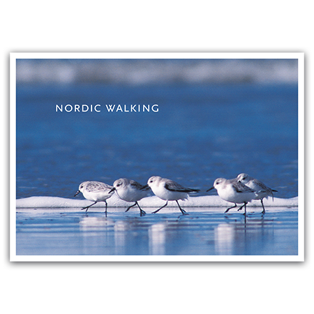   Nordic Walking