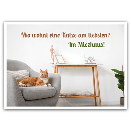 Wo wohnt eine Katze am liebsten? Im Miezhaus!  Katzen im Miezhaus