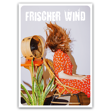 Frischer Wind  Frischer Wind (Strukturkarton)