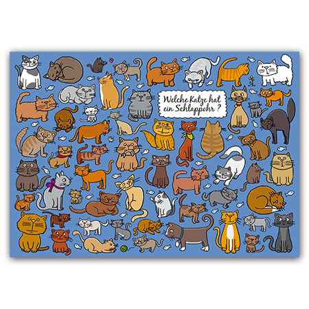 Welche Katze hat ein Schlappohr? | Welche Katze hat ein Schlappohr? (Strukturkarton mit Lack-Effekten)