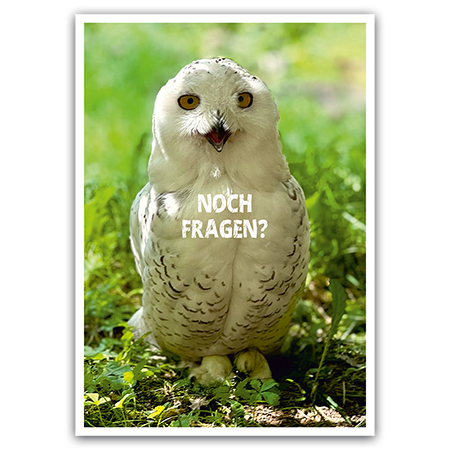  | Noch Fragen?