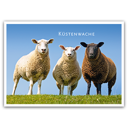 Küstenwache | Küstenwache