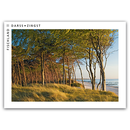 Fischland Darß Zingst | Darßer Weststrand