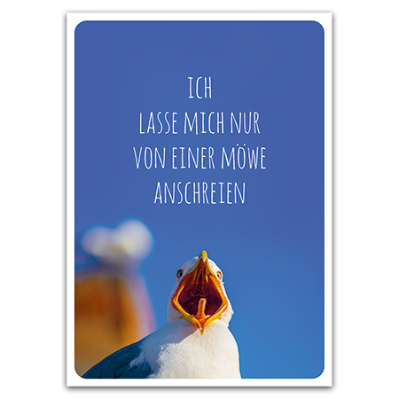 Ich lasse mich nur von einer Möwe anschreien | Die Möwe darf das (Strukturkarton)
