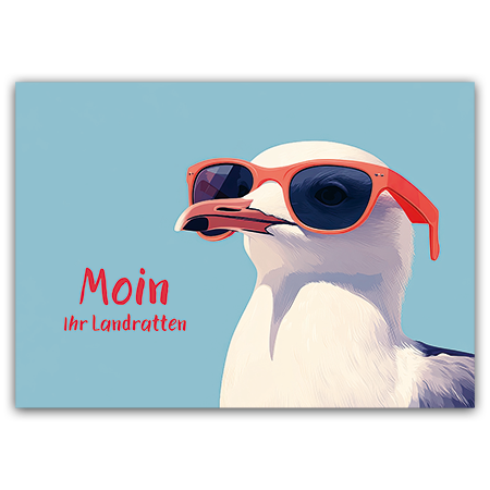 Moin Ihr Landratten | Moin, Ihr Landratten (Strukturkarton)