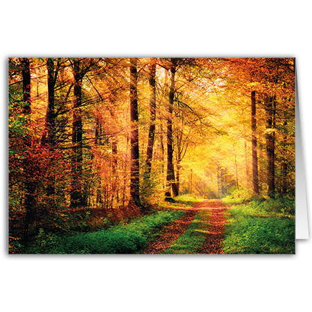  | Herbstspaziergang