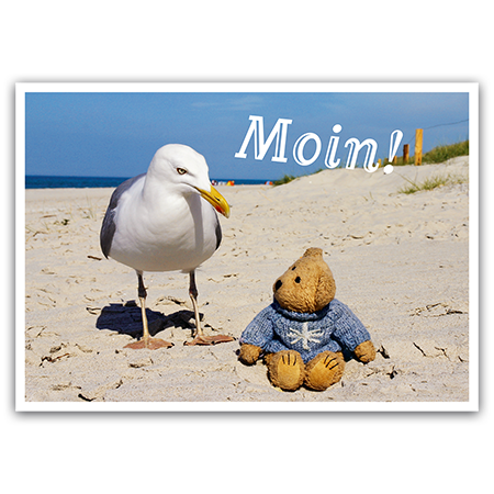 Moin! | Moin!