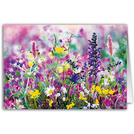  | Blumenwiese (Strukturkarton)