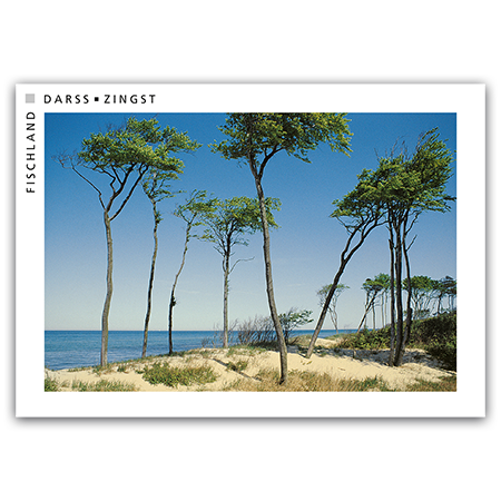 Fischland Darß Zingst | Darßer Weststrand