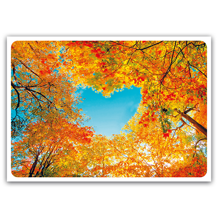  | Herzlich herbstlich (Strukturkarton)