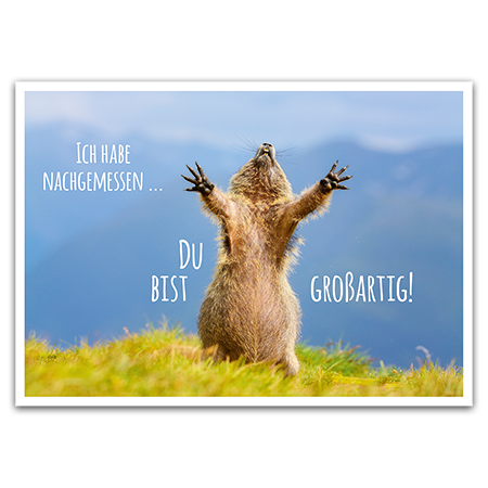 Ich habe nachgemessen ... Du bist großartig! | Du bist großartig!
