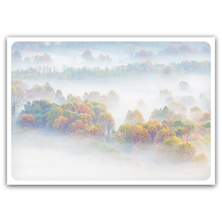  | Herbstwald im Nebel (Strukturkarton)