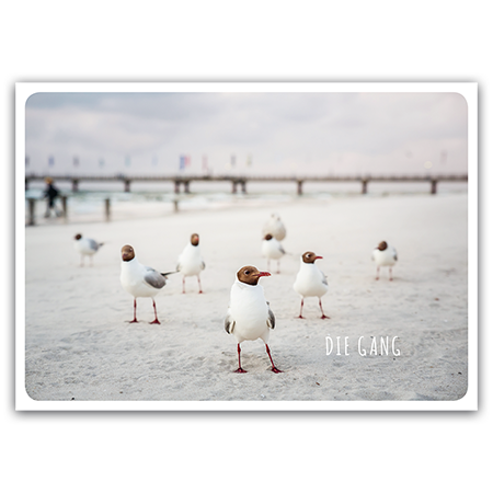 Die Gang | Die Gang (Strukturkarton)